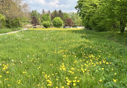 22-05-02 13-23-25 0723